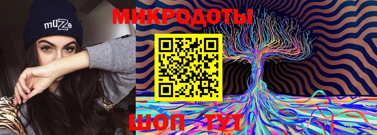 продажа наркотиков  Галлюциногенные грибы GOLDEN TEACHER  Вход с VPN  Братск 