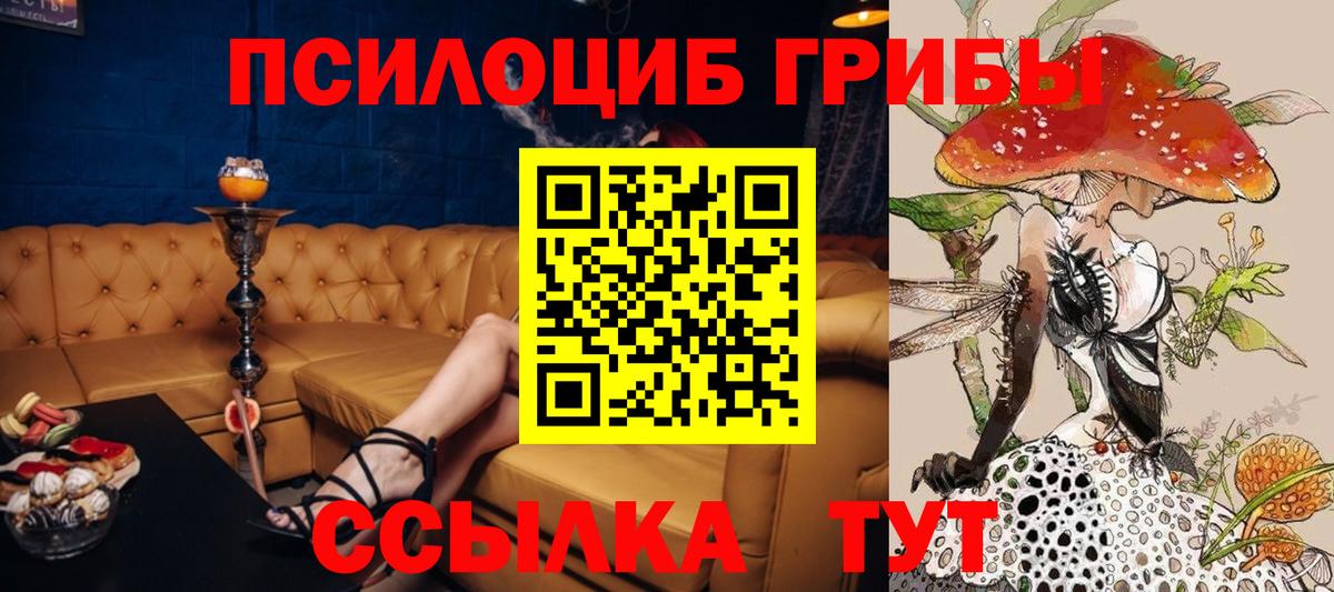 Галлюциногенные грибы Magic Shrooms Братск